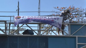 documental-primavera-rosa-brasil-creta-producciones-7