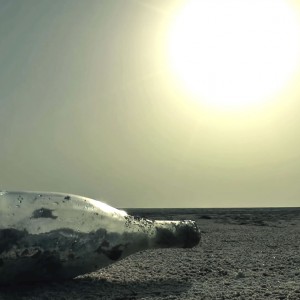 fondo-video.jpg